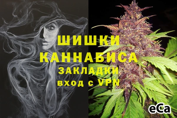 кокс Ростов