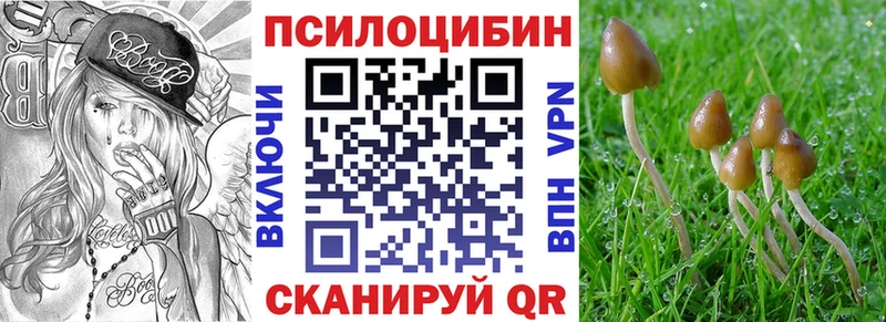 купить закладку  Лакинск  Галлюциногенные грибы GOLDEN TEACHER 