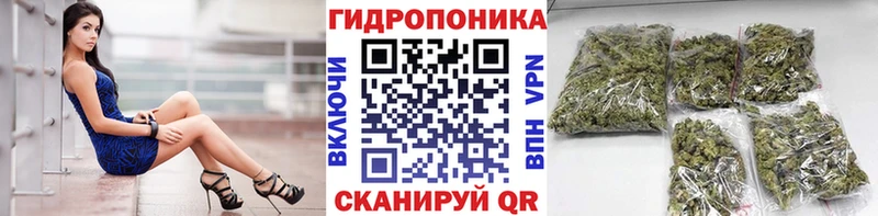 МАРИХУАНА семена как найти закладки Лакинск